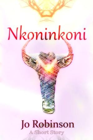 Nkoninkoni Cover